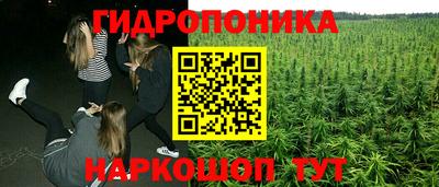 a pvp Кандалакша