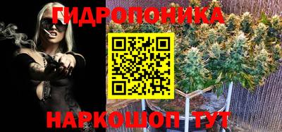 наркотики Канаш