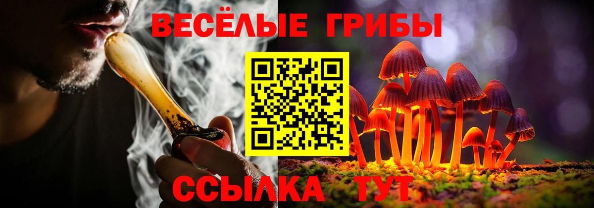 Галлюциногенные грибы MAGIC MUSHROOMS  Вход с VPN  где купить наркоту  Лениногорск 